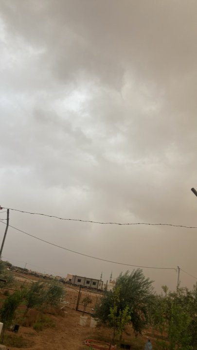 مشاركاتي في أنت الراصد