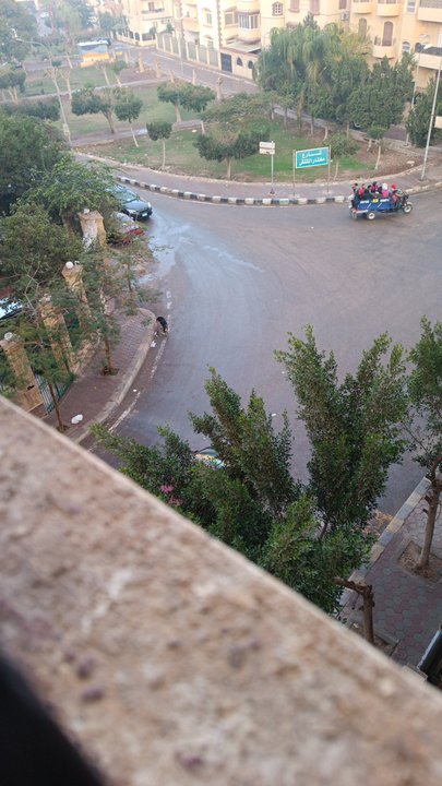 مشاركاتي في أنت الراصد