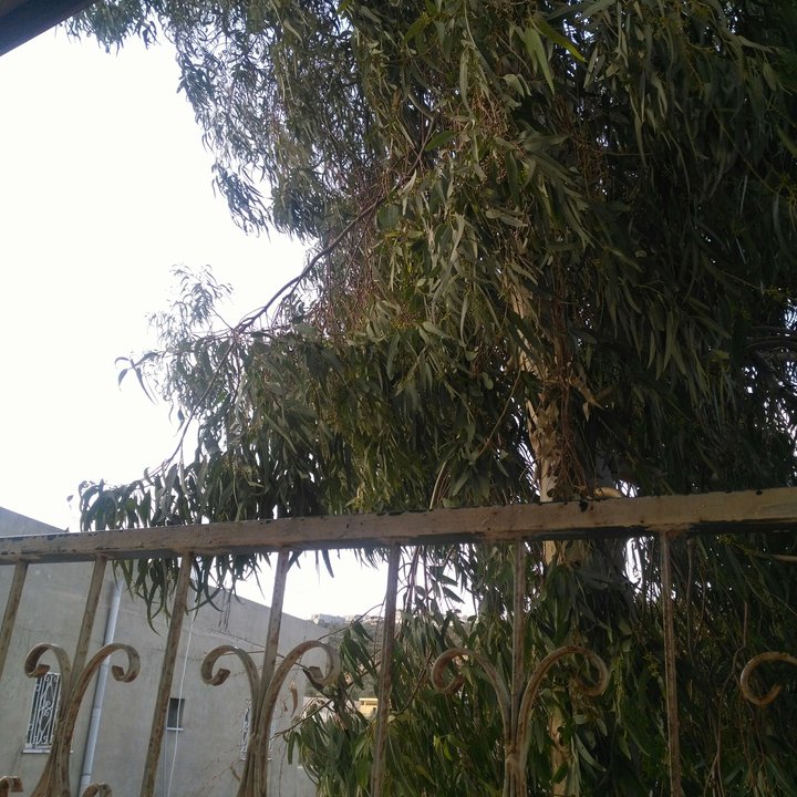 My Crowdsourcing Posts