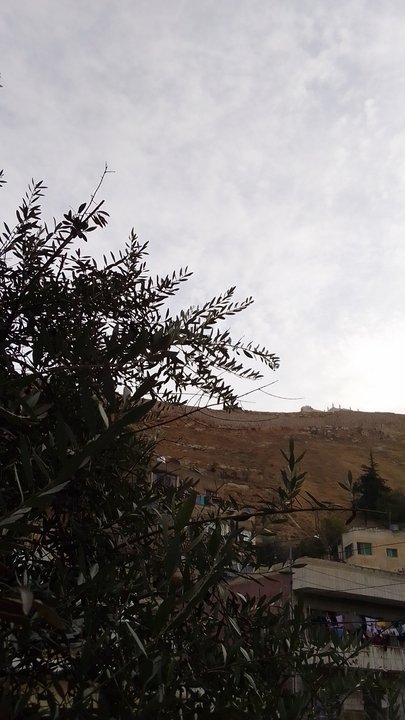 مشاركاتي في أنت الراصد