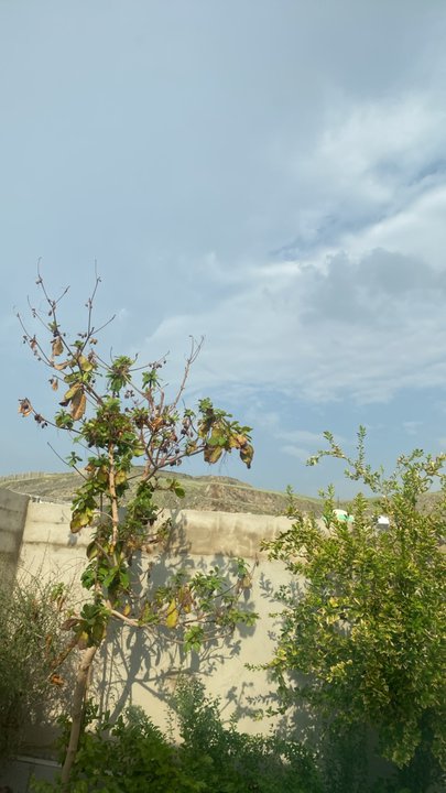 My Crowdsourcing Posts