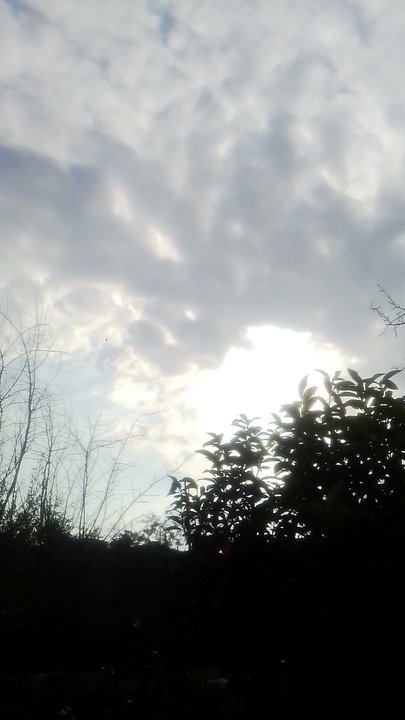 My Crowdsourcing Posts