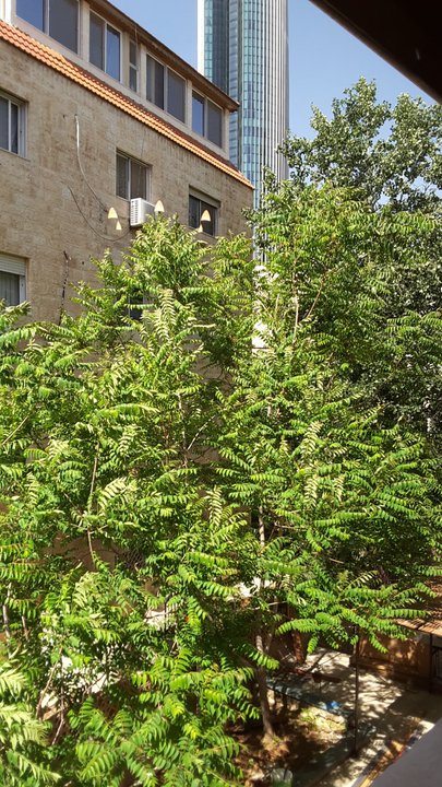 My Crowdsourcing Posts