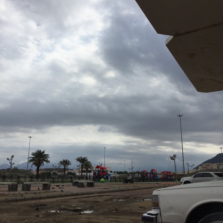 مشاركاتي في أنت الراصد