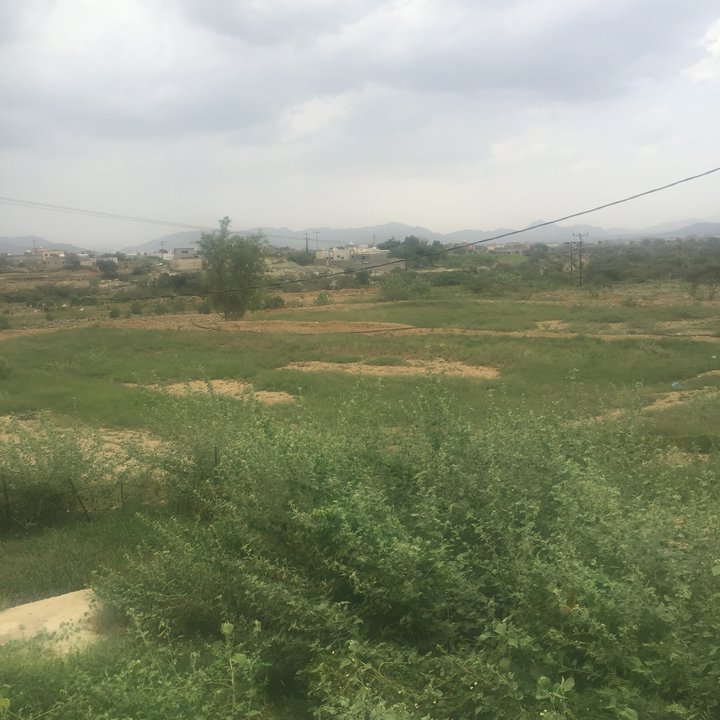 My Crowdsourcing Posts