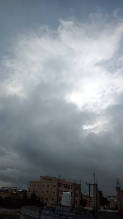 مشاركاتي في أنت الراصد