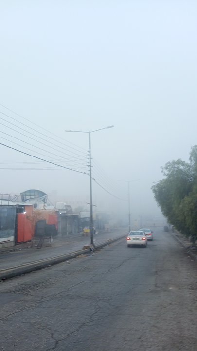 مشاركاتي في أنت الراصد