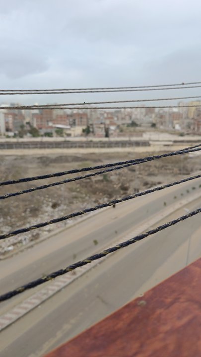 مشاركاتي في أنت الراصد