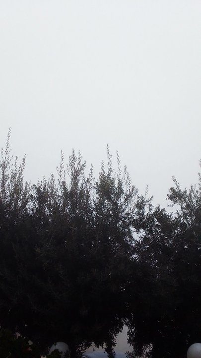 My Crowdsourcing Posts