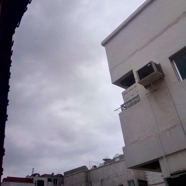 مشاركاتي في أنت الراصد