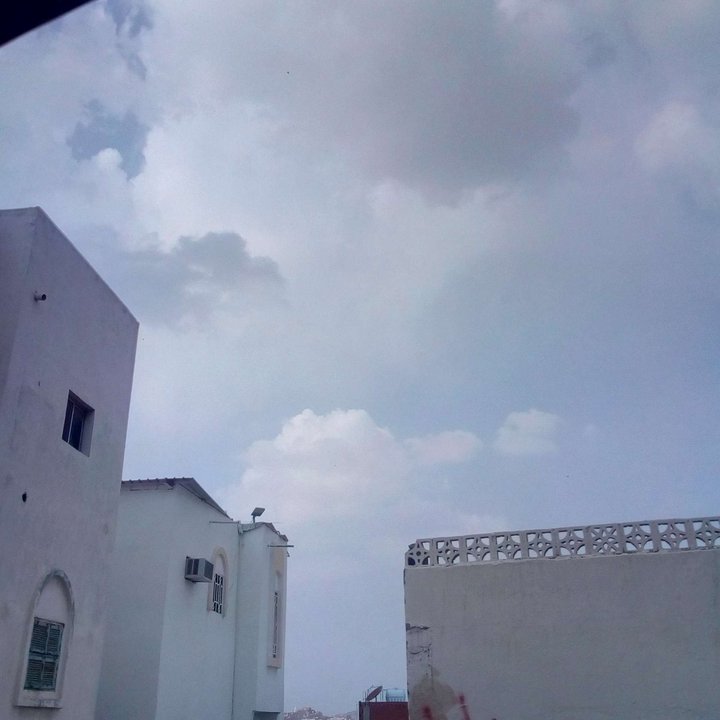 مشاركاتي في أنت الراصد