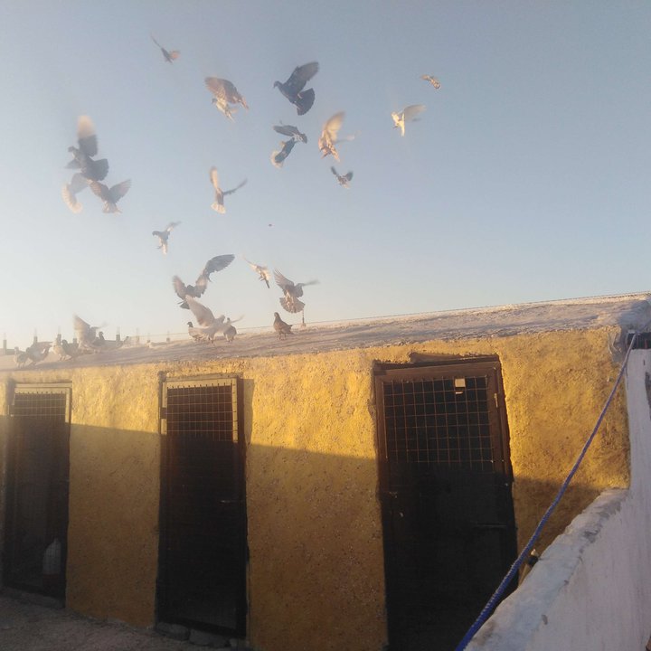 My Crowdsourcing Posts