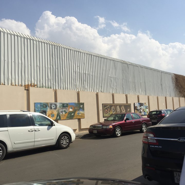 مشاركاتي في أنت الراصد