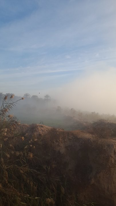 مشاركاتي في أنت الراصد