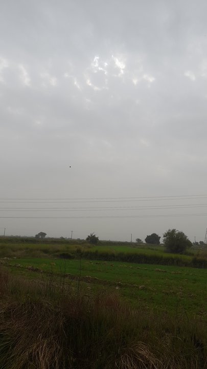 مشاركاتي في أنت الراصد