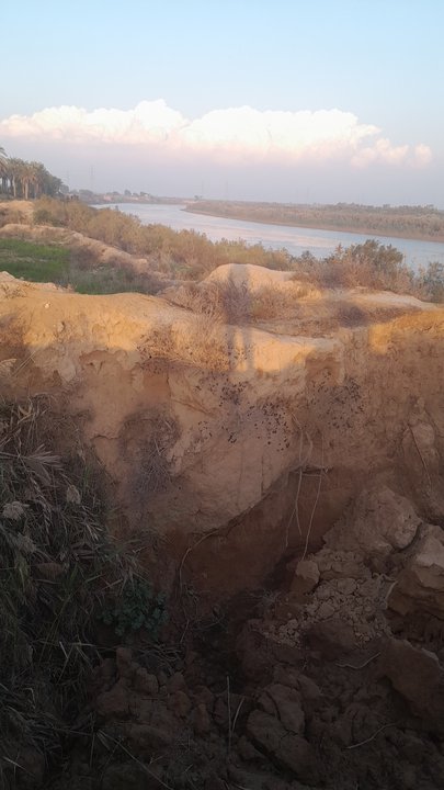 مشاركاتي في أنت الراصد