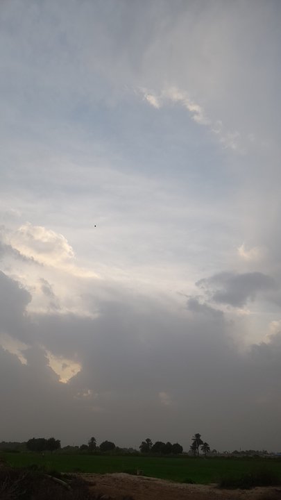 مشاركاتي في أنت الراصد