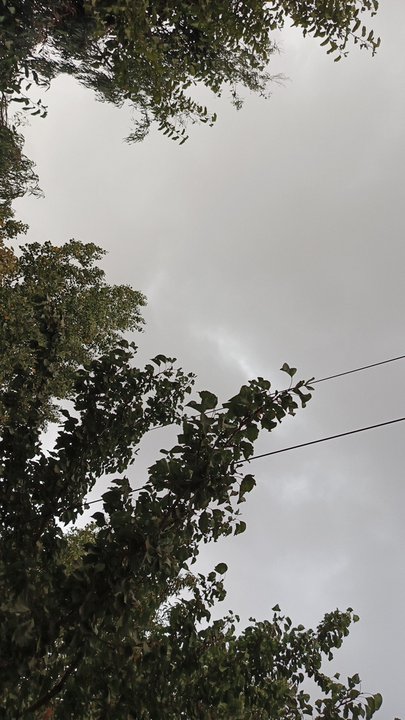 My Crowdsourcing Posts