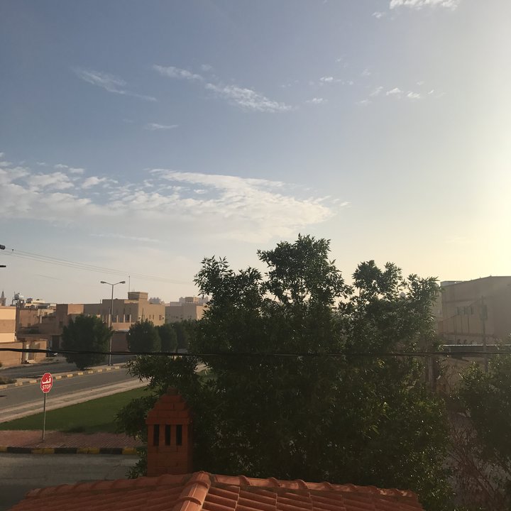 مشاركاتي في أنت الراصد