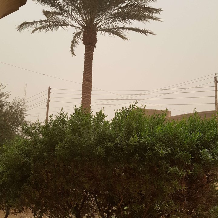 مشاركاتي في أنت الراصد