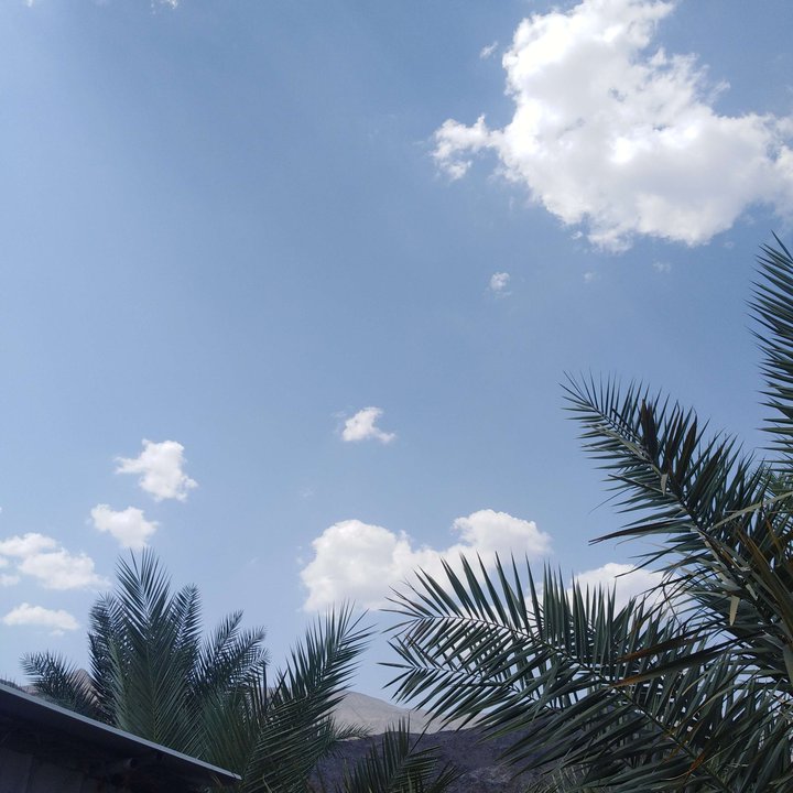 Mes publications Crowdsourcing