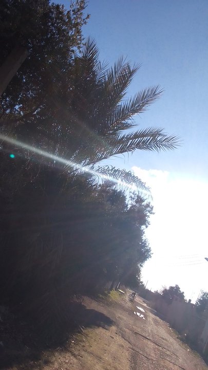 مشاركاتي في أنت الراصد