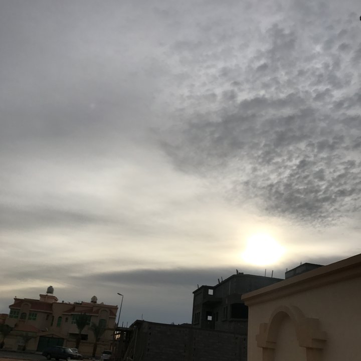 مشاركاتي في أنت الراصد