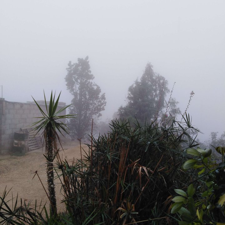 My Crowdsourcing Posts