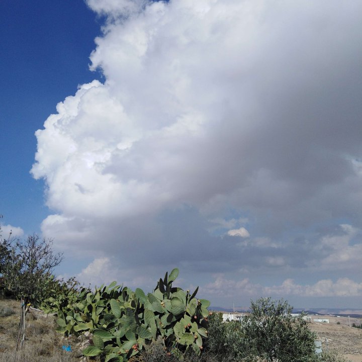 My Crowdsourcing Posts