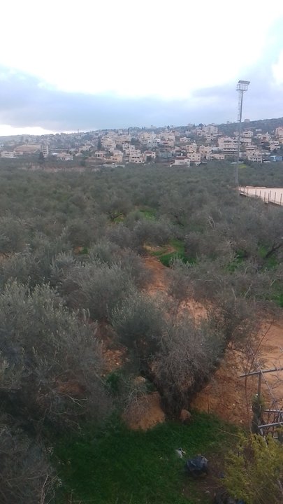 Mes publications Crowdsourcing