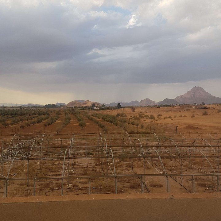 My Crowdsourcing Posts