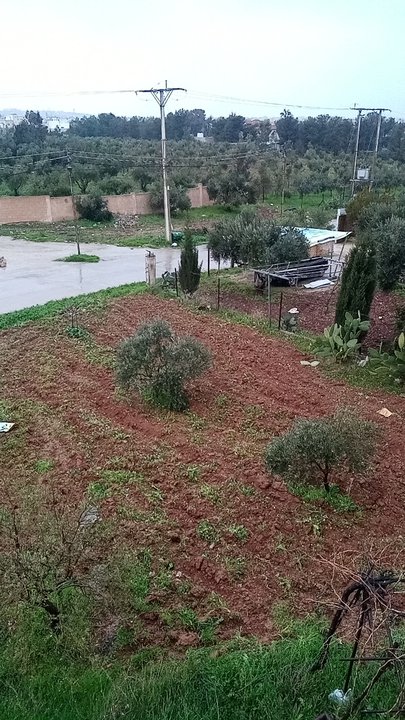 My Crowdsourcing Posts