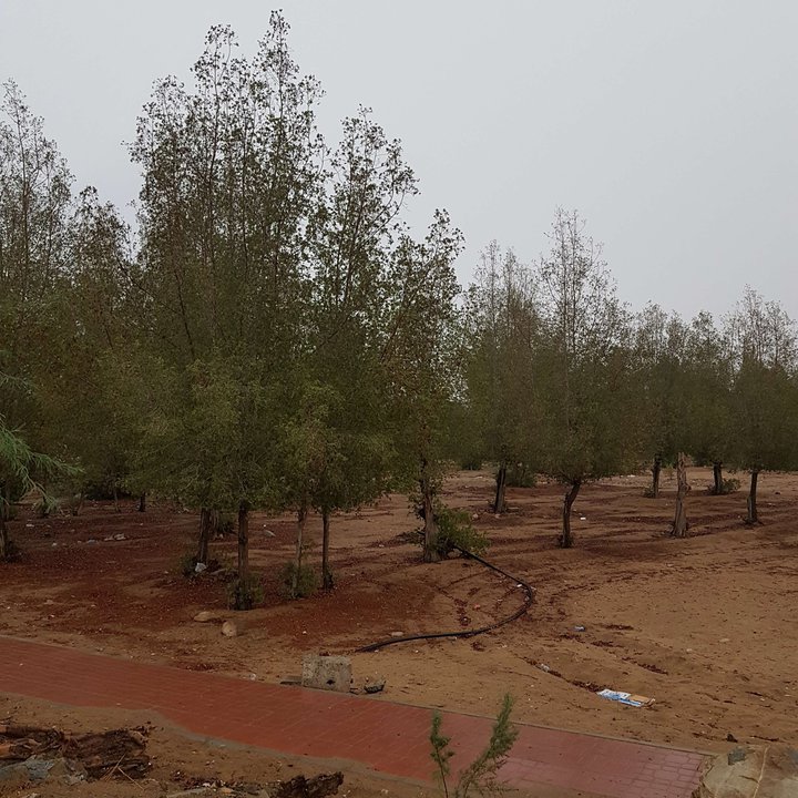 My Crowdsourcing Posts