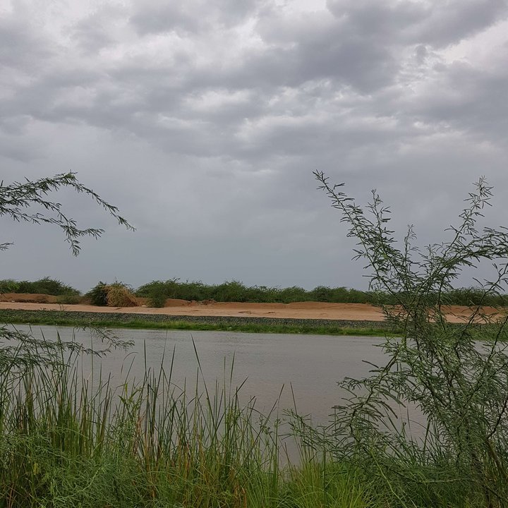 My Crowdsourcing Posts