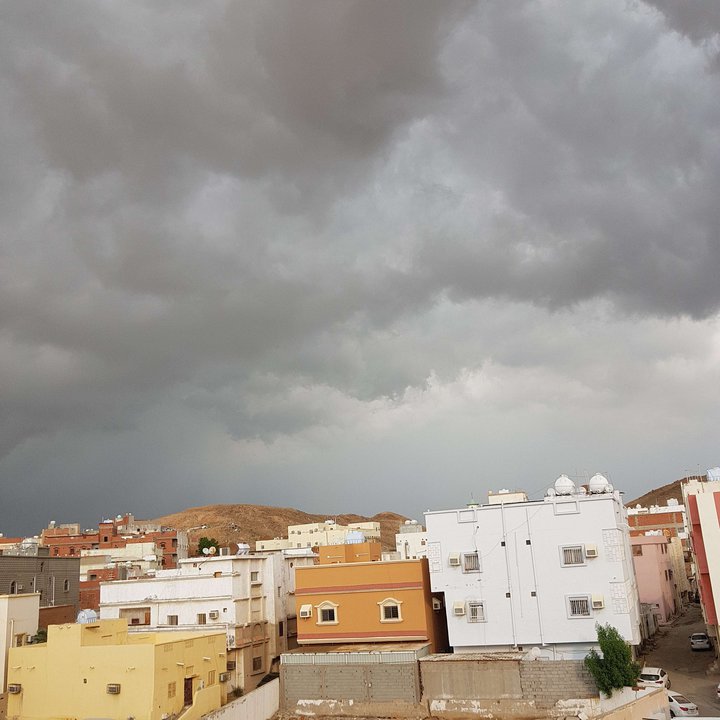 مشاركاتي في أنت الراصد