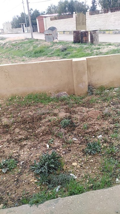 My Crowdsourcing Posts