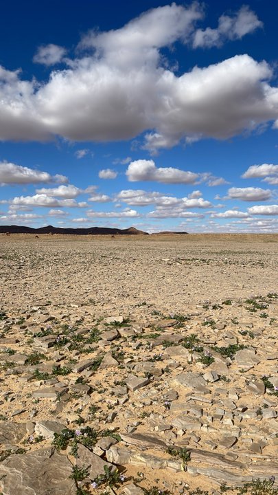 My Crowdsourcing Posts