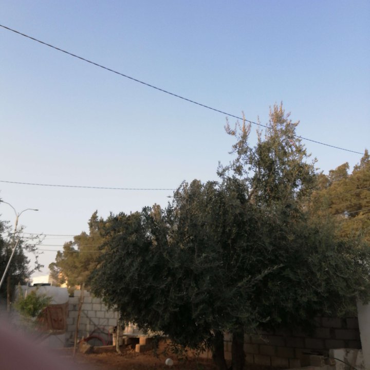 My Crowdsourcing Posts