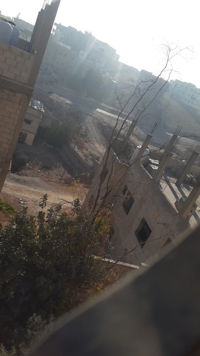 مشاركاتي في أنت الراصد