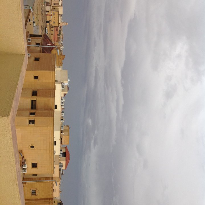 مشاركاتي في أنت الراصد