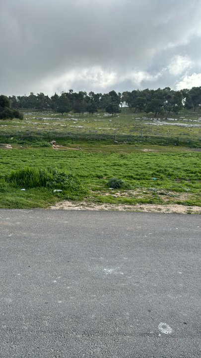 My Crowdsourcing Posts