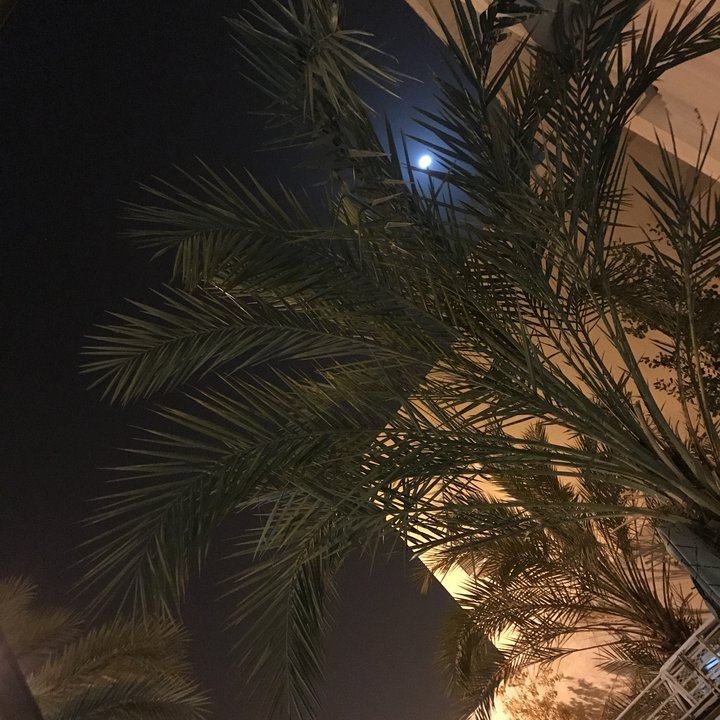 My Crowdsourcing Posts