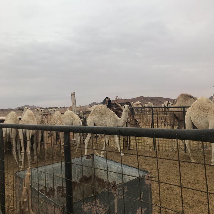 My Crowdsourcing Posts