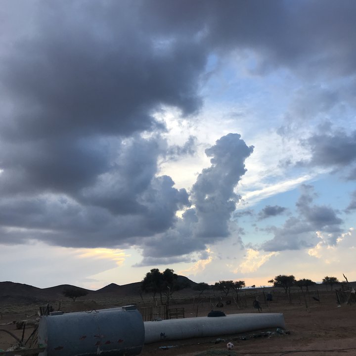 مشاركاتي في أنت الراصد