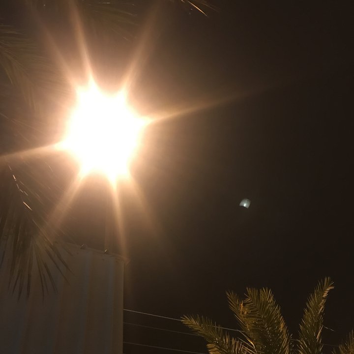 مشاركاتي في أنت الراصد