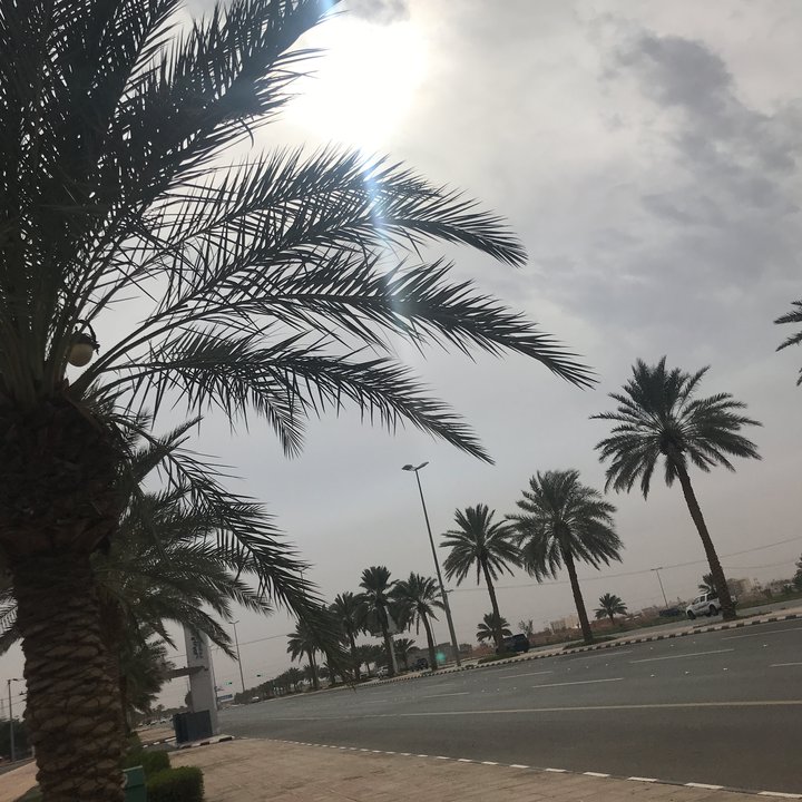 مشاركاتي في أنت الراصد