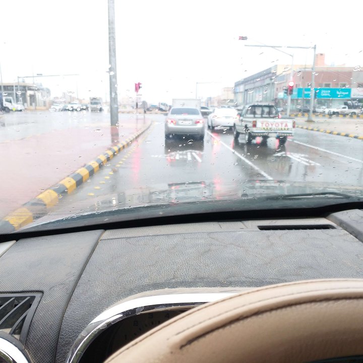 مشاركاتي في أنت الراصد