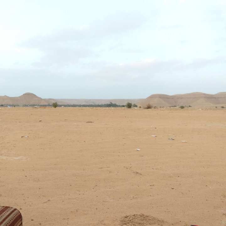 My Crowdsourcing Posts