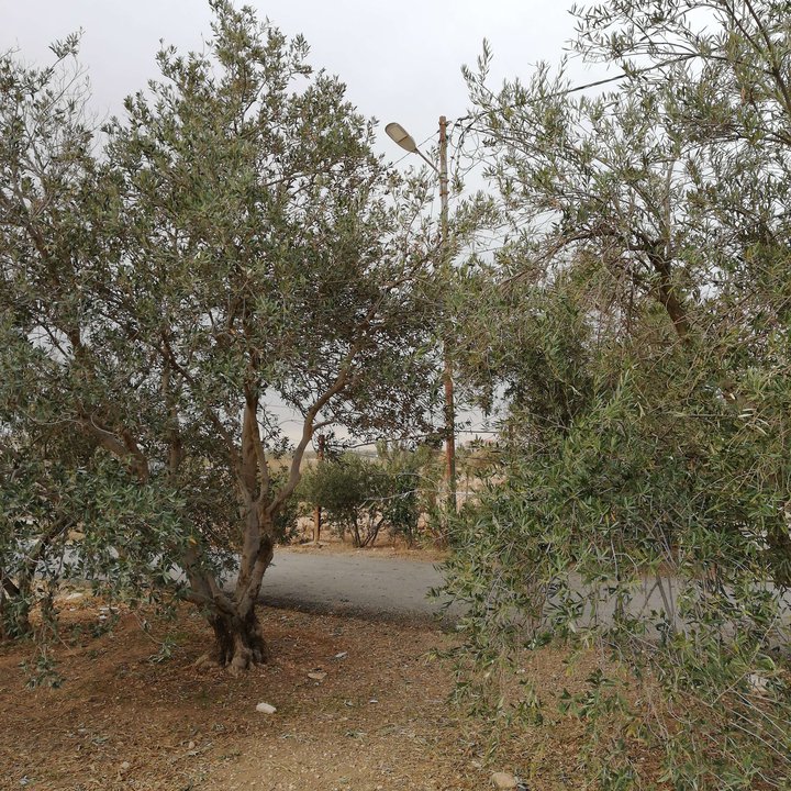 My Crowdsourcing Posts