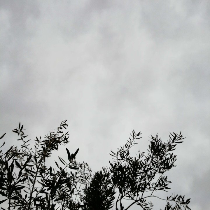 My Crowdsourcing Posts